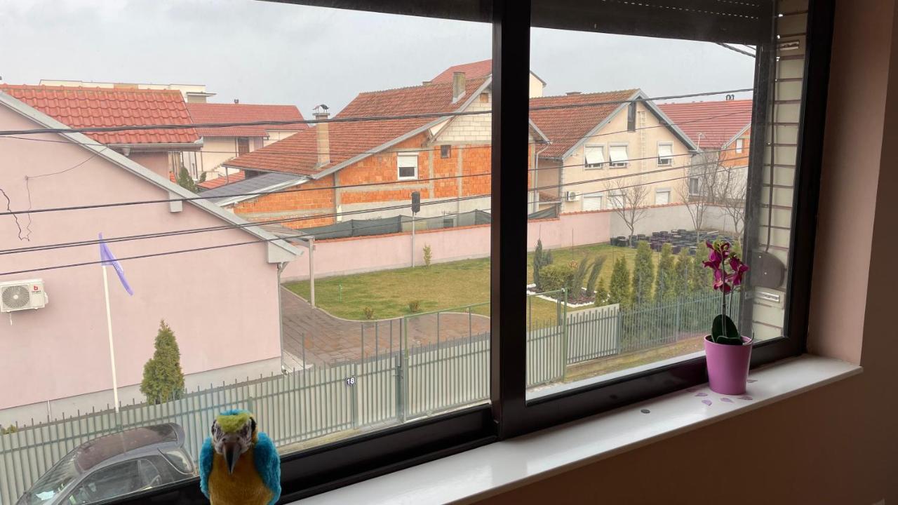 Charlie&blueberries Apartment Belgrad