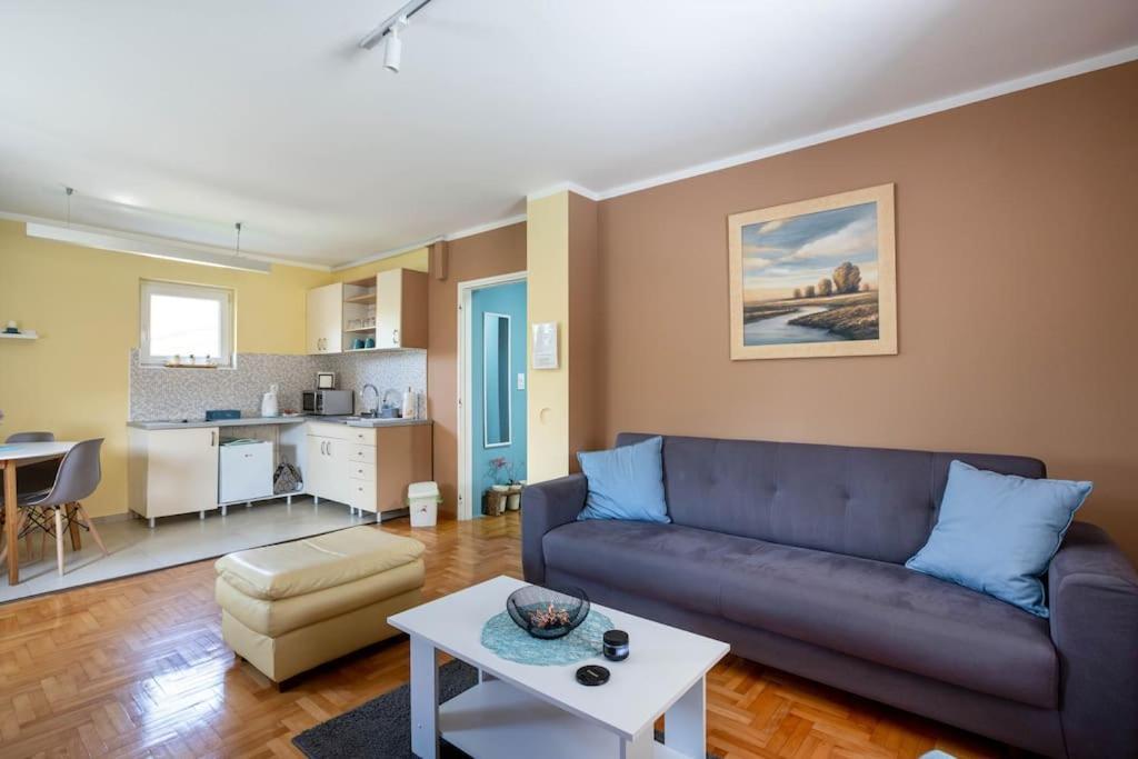 Apartment Charlie&blueberries Belgrad