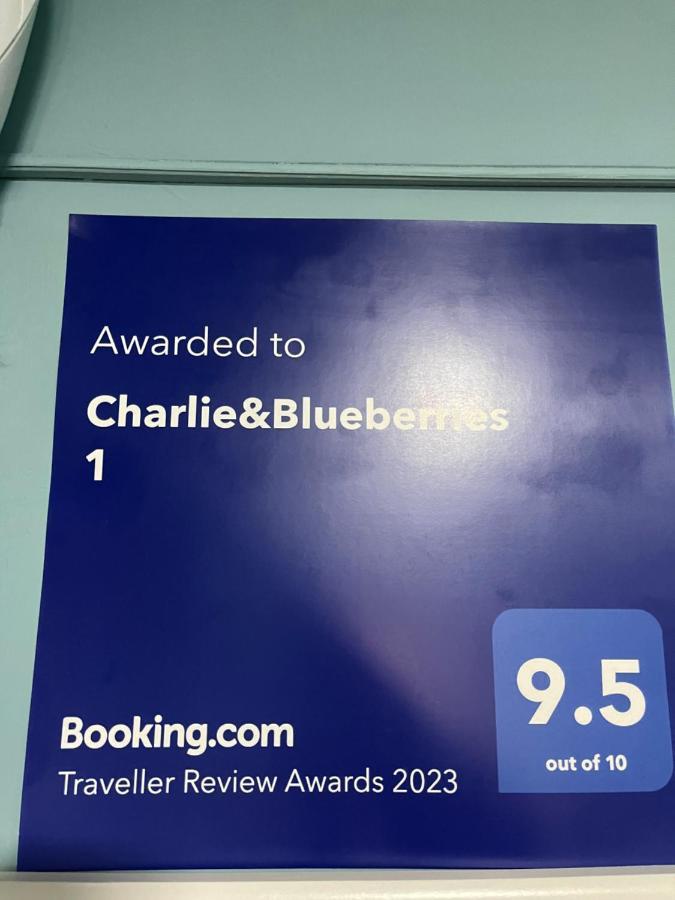 Charlie&blueberries * Belgrad